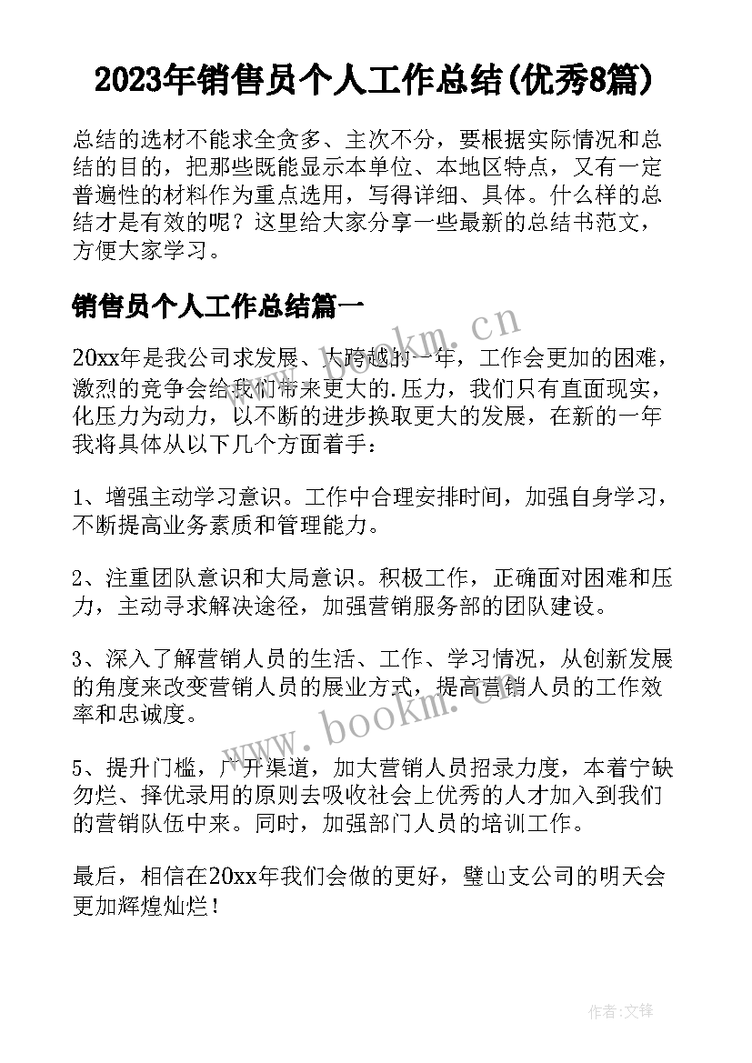 2023年销售员个人工作总结(优秀8篇)