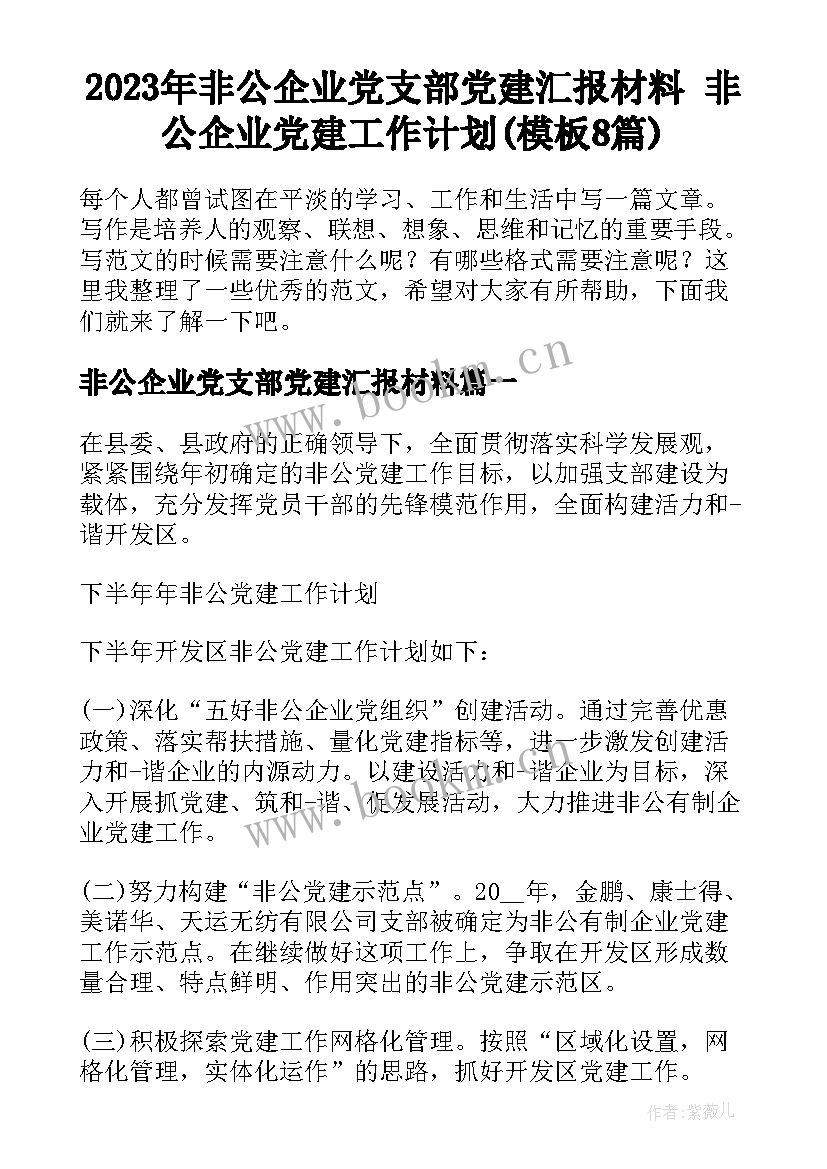 2023年非公企业党支部党建汇报材料 非公企业党建工作计划(模板8篇)