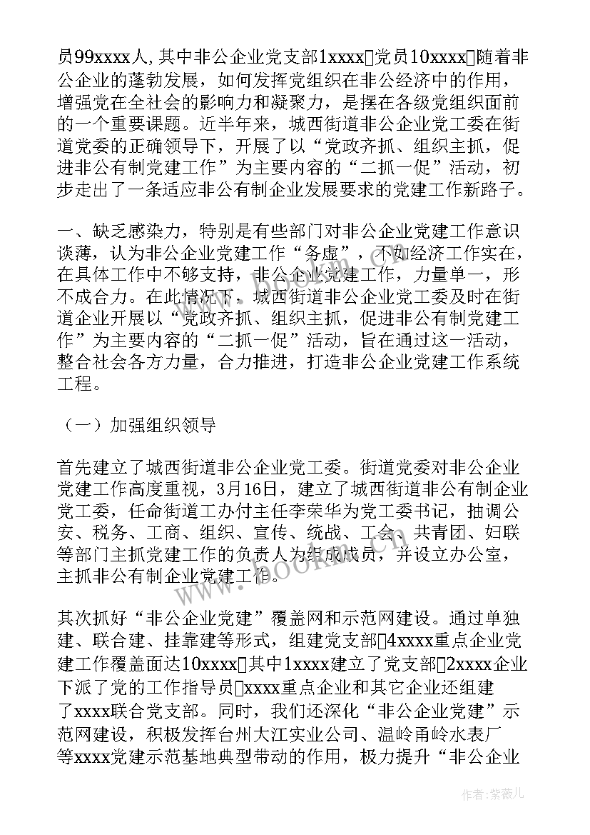 2023年非公企业党支部党建汇报材料 非公企业党建工作计划(模板8篇)