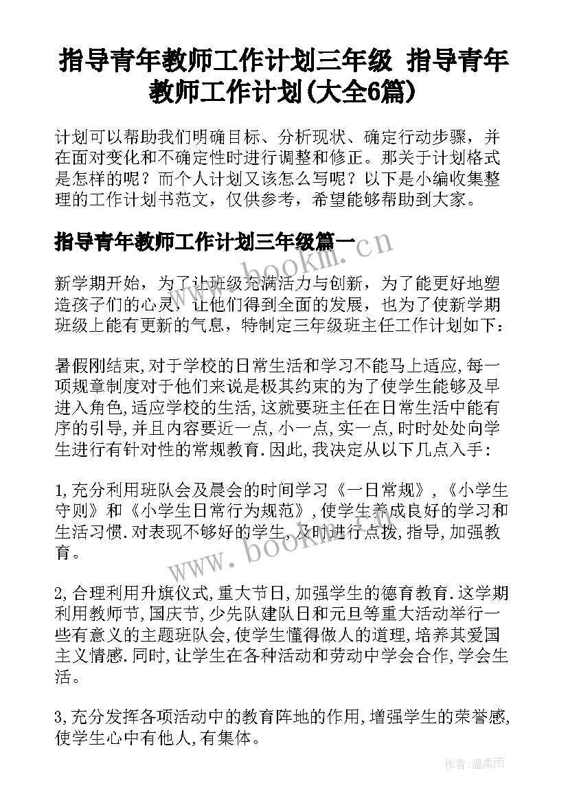 指导青年教师工作计划三年级 指导青年教师工作计划(大全6篇)