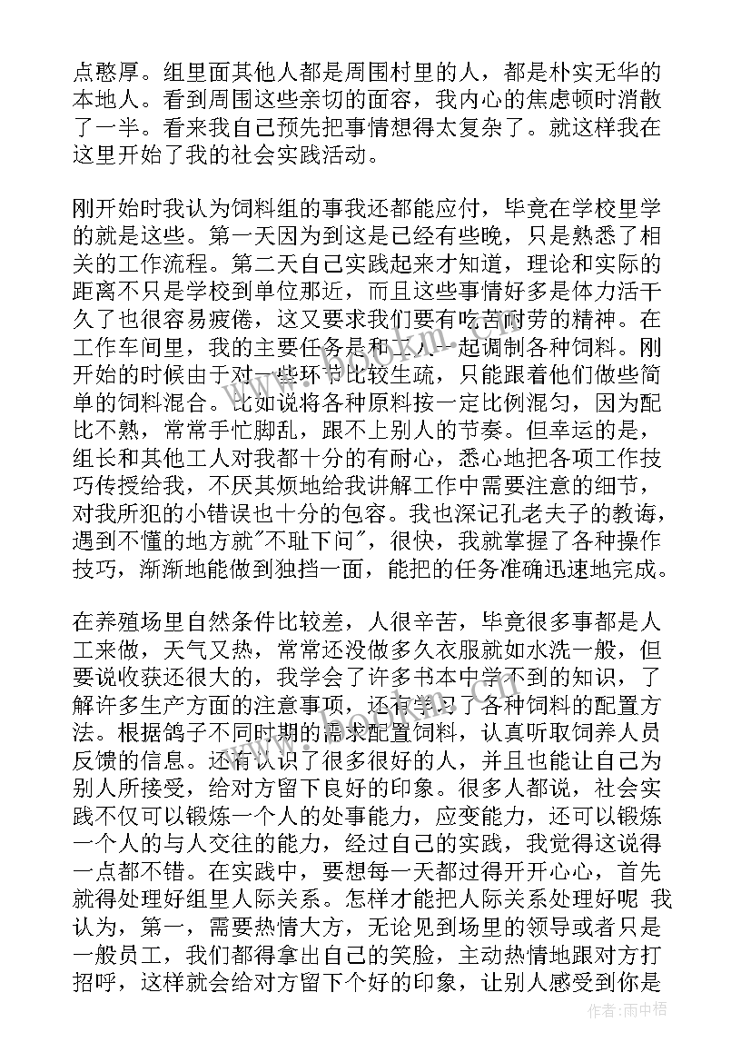 2023年社会实践报告(模板5篇)