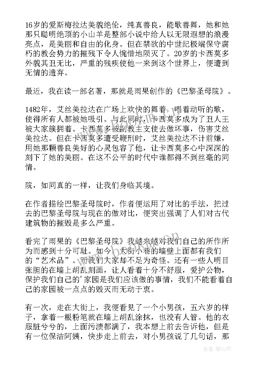 2023年读书感悟巴黎圣母院(精选5篇)