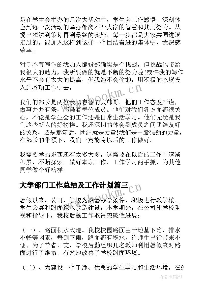 大学部门工作总结及工作计划(汇总7篇)