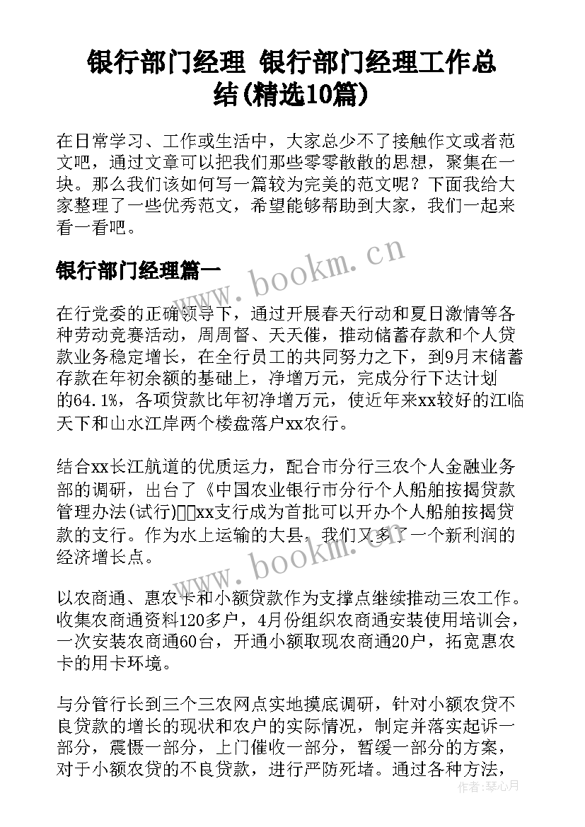 银行部门经理 银行部门经理工作总结(精选10篇)