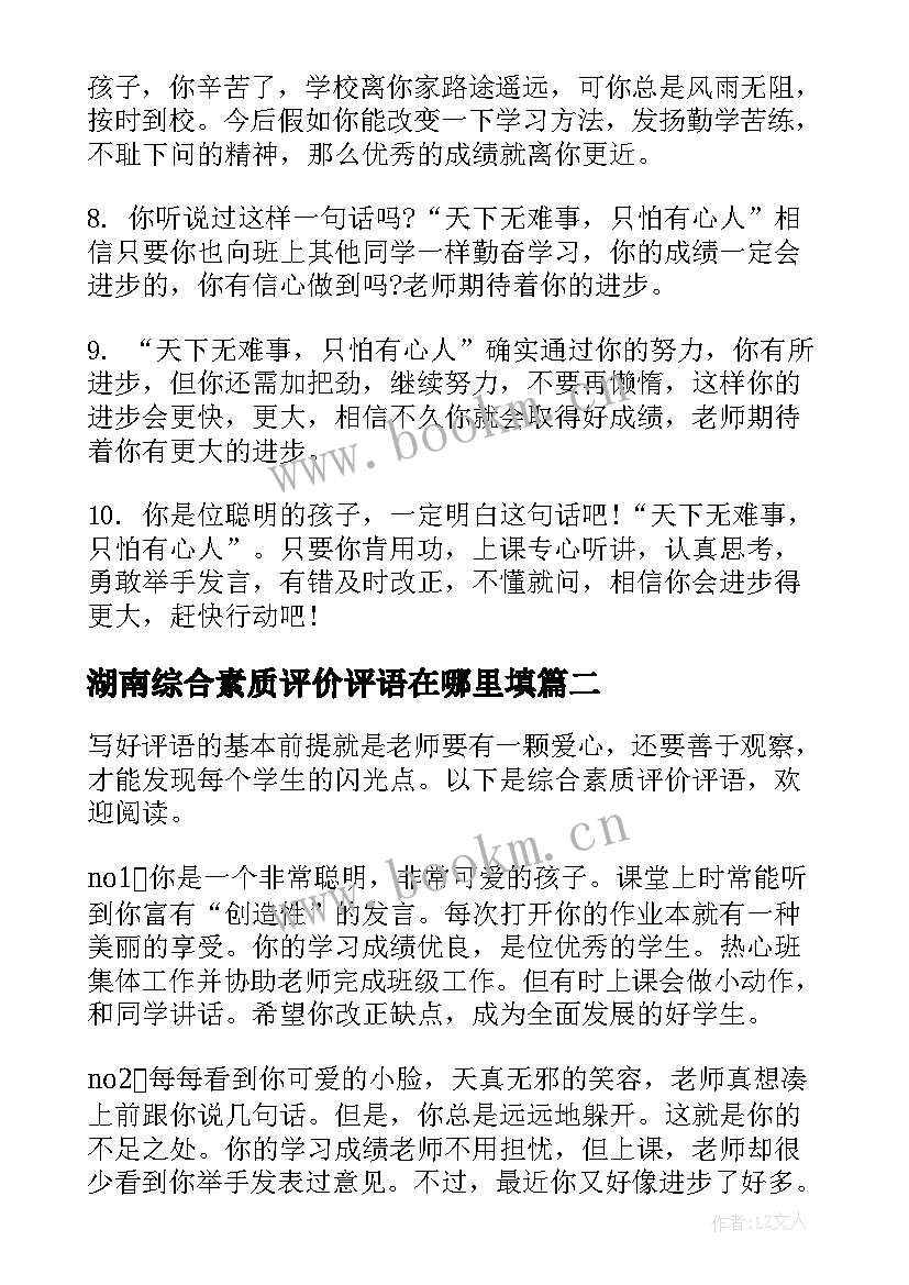 2023年湖南综合素质评价评语在哪里填 综合素质评价评语(模板8篇)