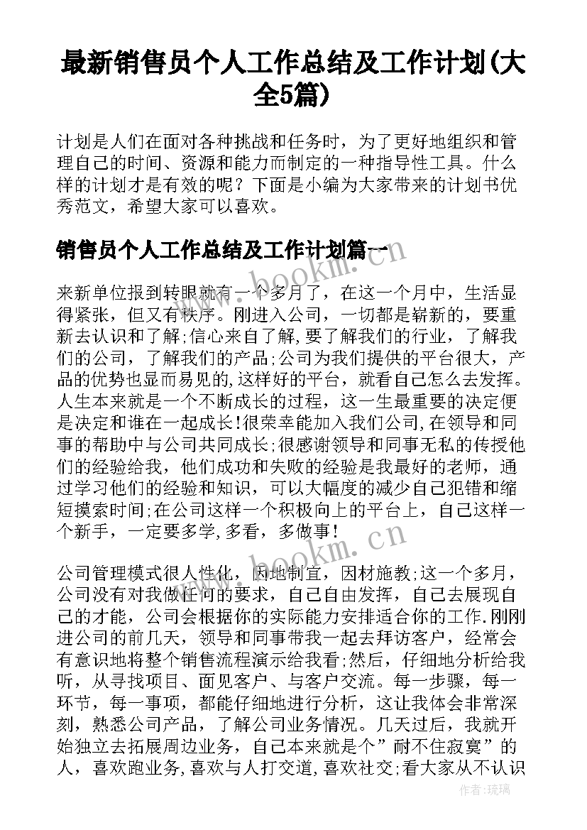 最新销售员个人工作总结及工作计划(大全5篇)