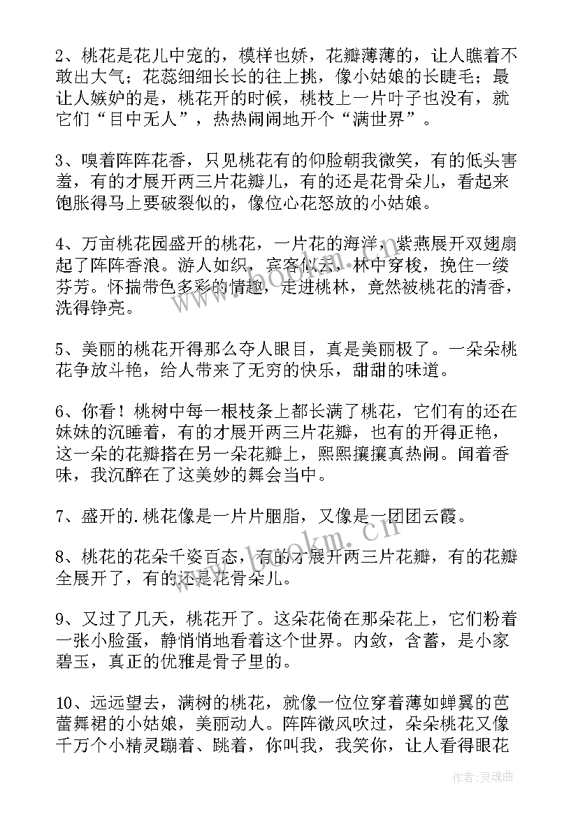 2023年三年级好句摘抄个(通用8篇)