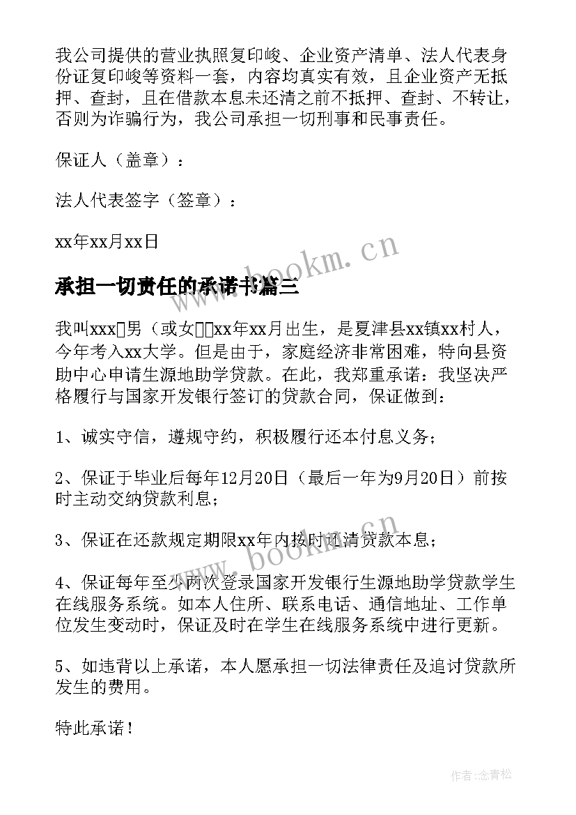 最新承担一切责任的承诺书(模板5篇)