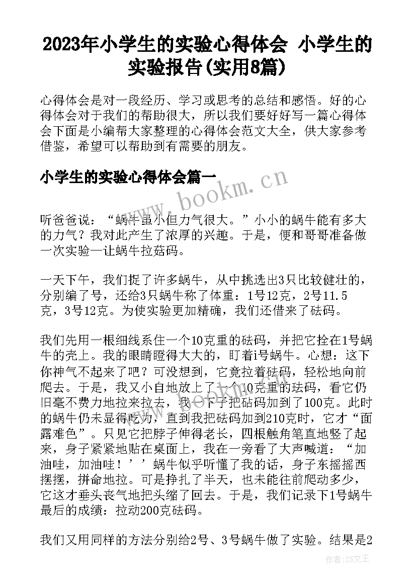 2023年小学生的实验心得体会 小学生的实验报告(实用8篇)