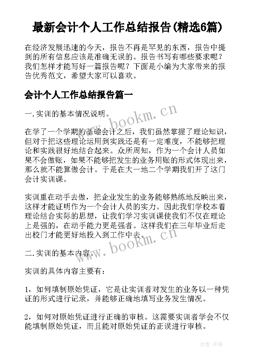 最新会计个人工作总结报告(精选6篇)