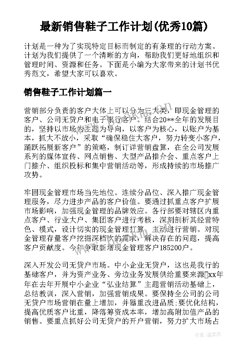 最新销售鞋子工作计划(优秀10篇)