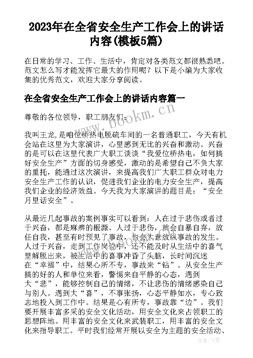 2023年在全省安全生产工作会上的讲话内容(模板5篇)