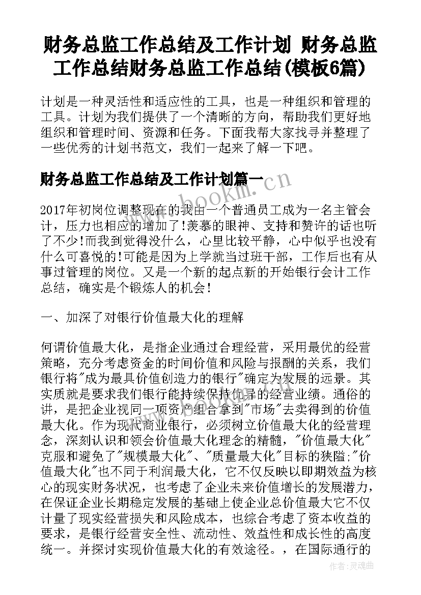 财务总监工作总结及工作计划 财务总监工作总结财务总监工作总结(模板6篇)