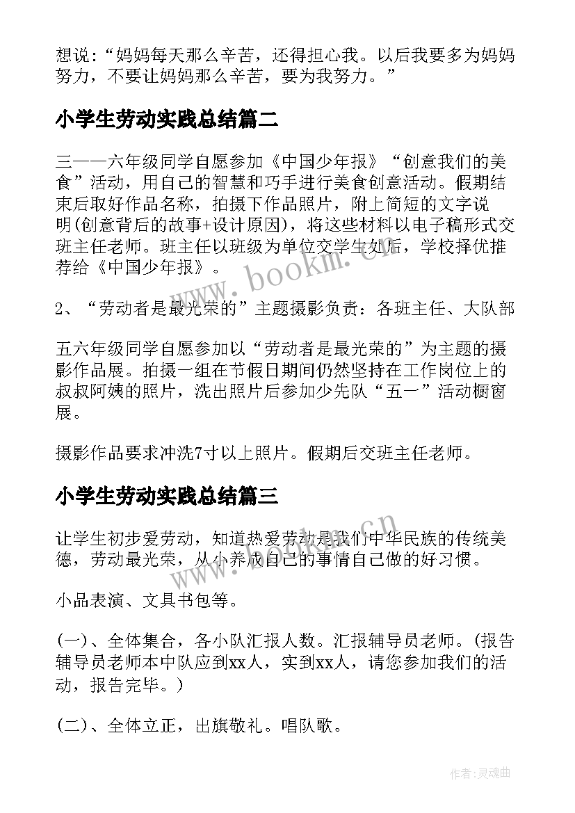 最新小学生劳动实践总结(优秀5篇)