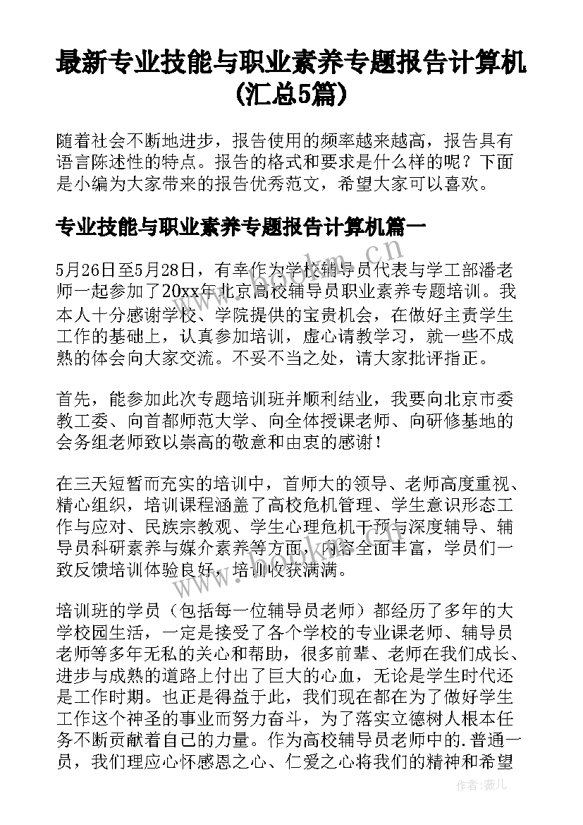 最新专业技能与职业素养专题报告计算机(汇总5篇)