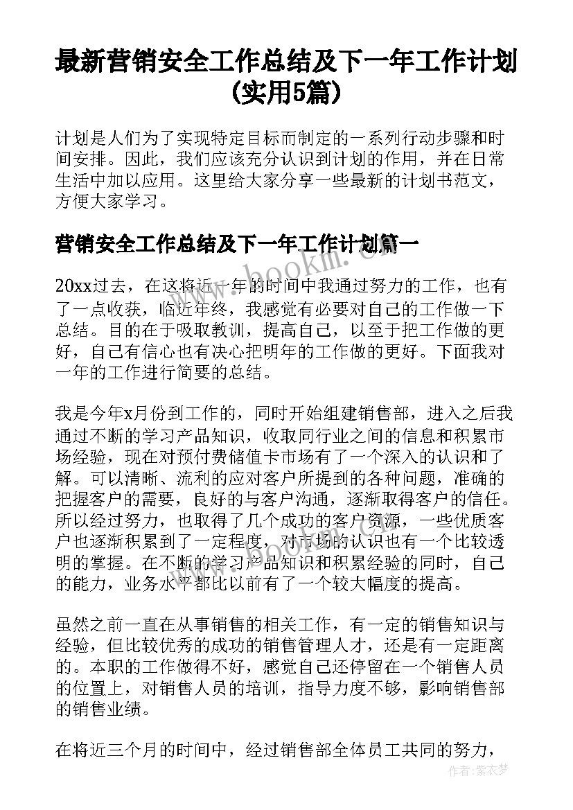 最新营销安全工作总结及下一年工作计划(实用5篇)