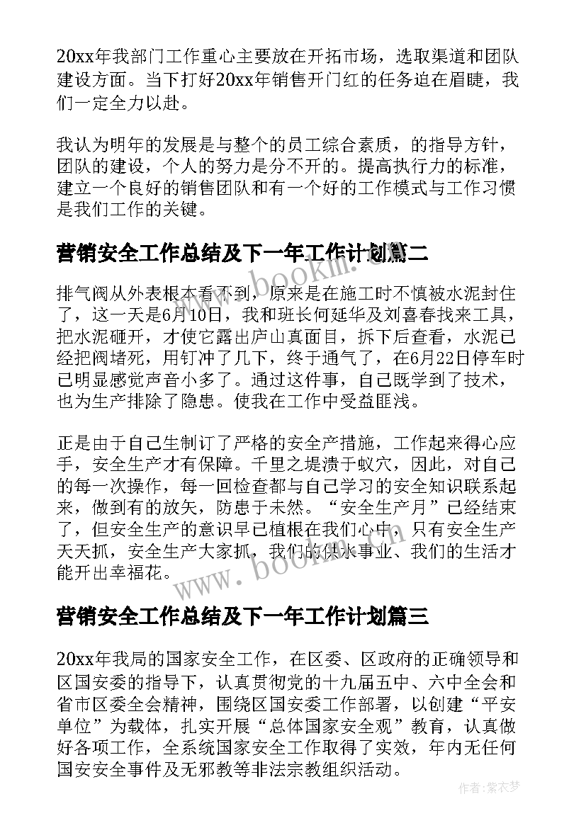 最新营销安全工作总结及下一年工作计划(实用5篇)