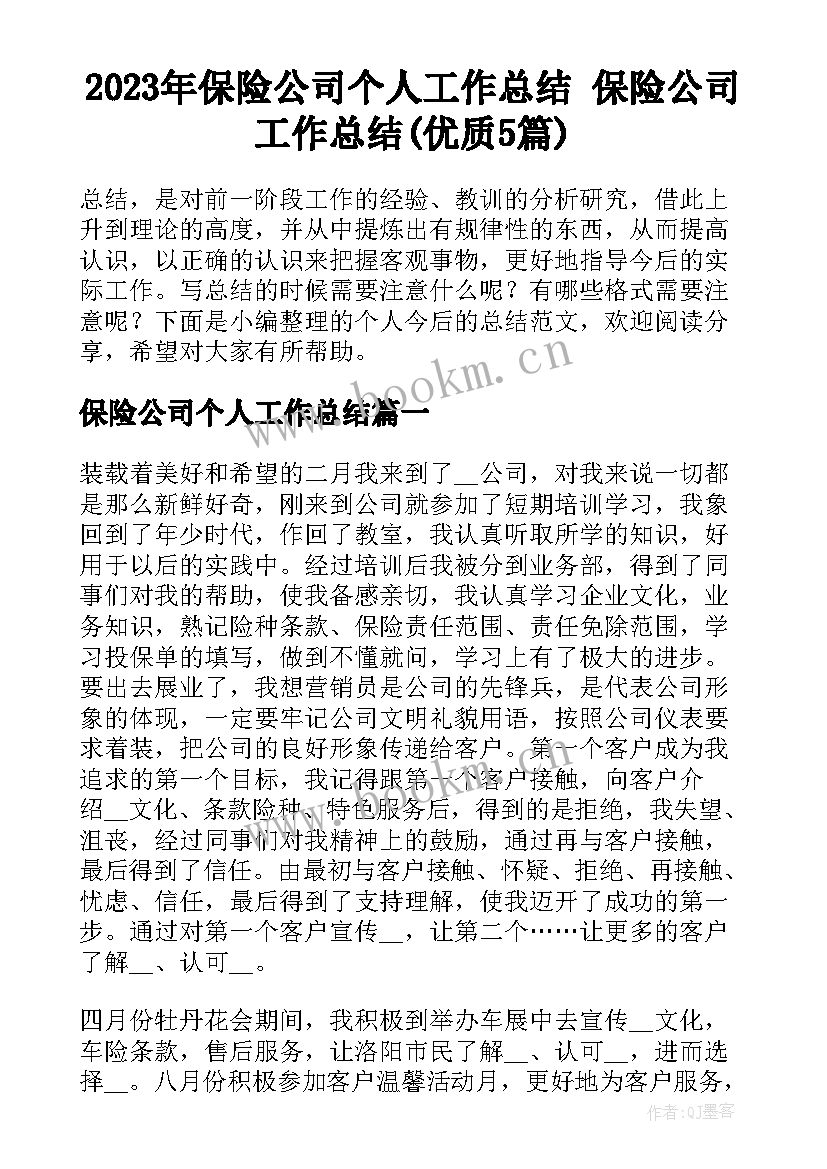 2023年保险公司个人工作总结 保险公司工作总结(优质5篇)