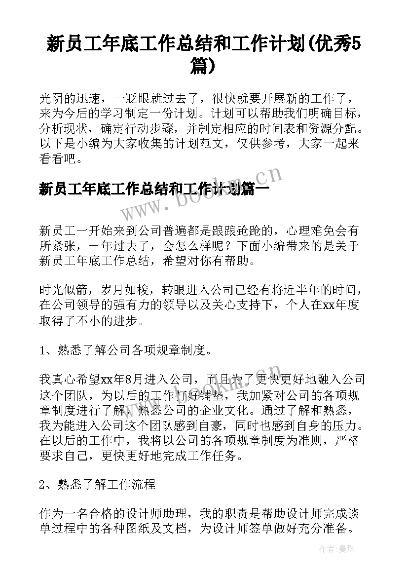 新员工年底工作总结和工作计划(优秀5篇)