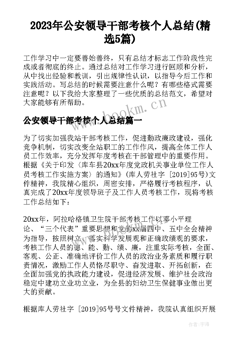 2023年公安领导干部考核个人总结(精选5篇)