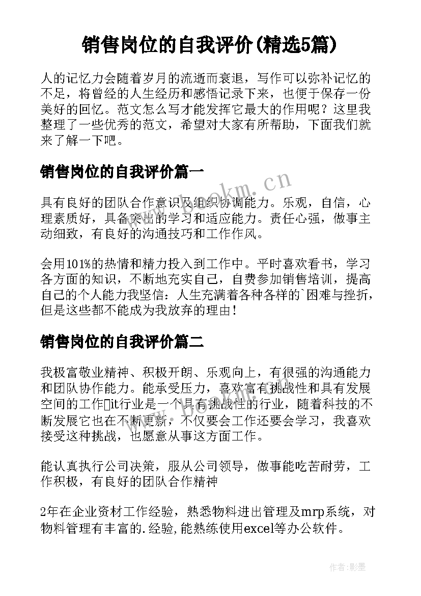 销售岗位的自我评价(精选5篇)