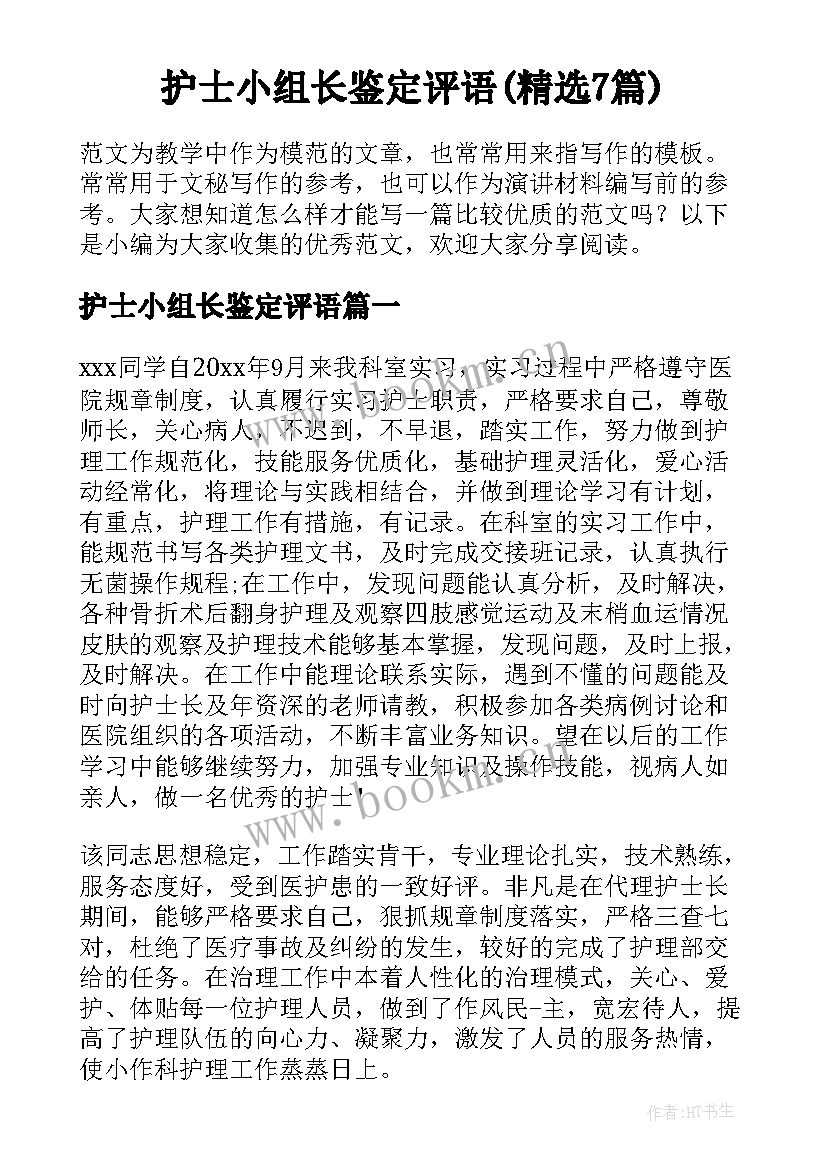 护士小组长鉴定评语(精选7篇)