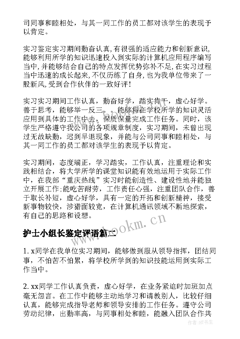 护士小组长鉴定评语(精选7篇)