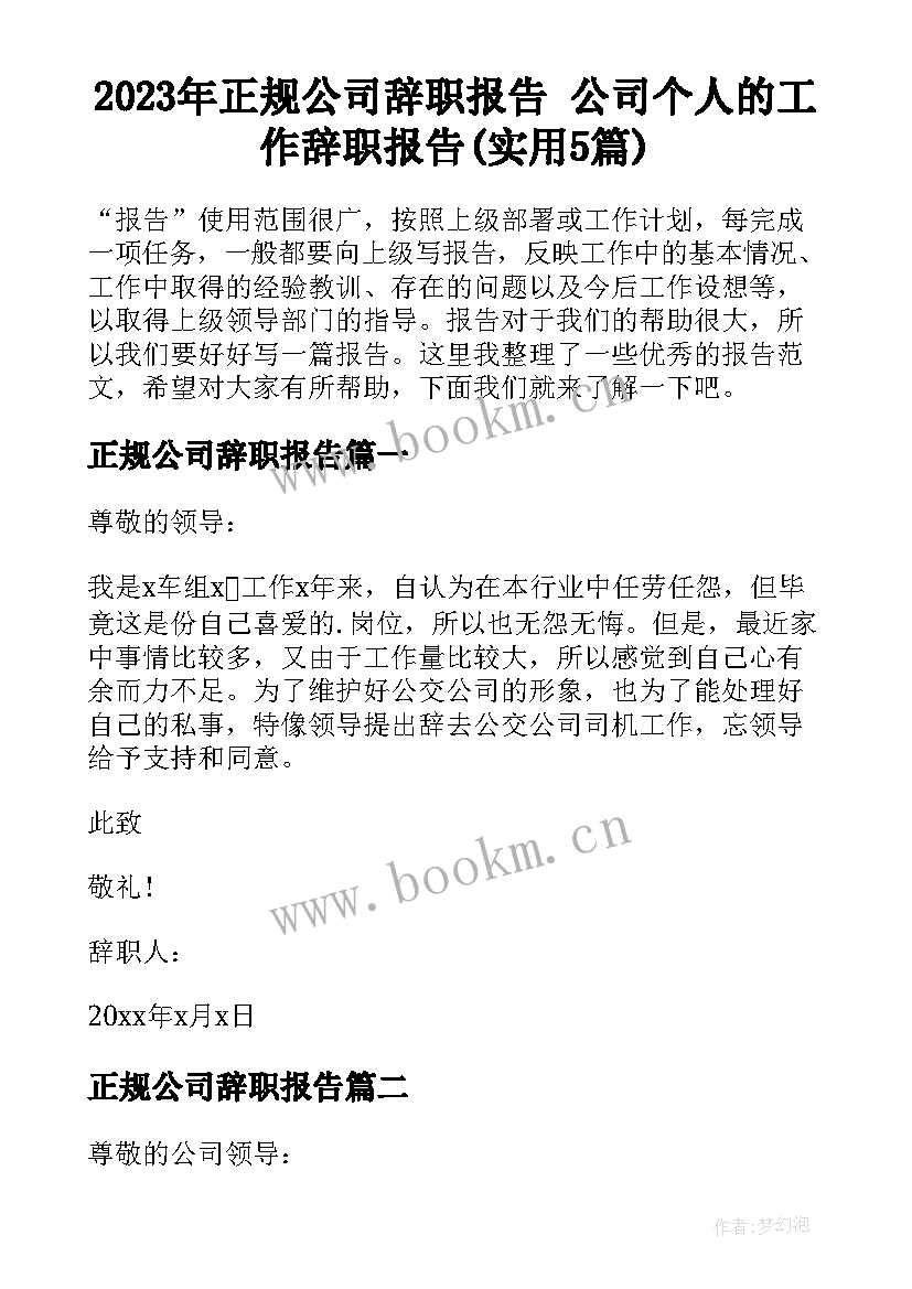 2023年正规公司辞职报告 公司个人的工作辞职报告(实用5篇)