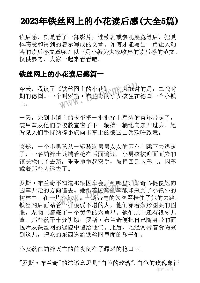 2023年铁丝网上的小花读后感(大全5篇)