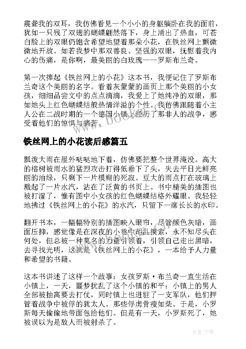 2023年铁丝网上的小花读后感(大全5篇)