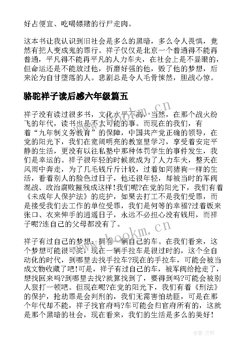 最新骆驼祥子读后感六年级 六年级骆驼祥子读后感(优秀6篇)