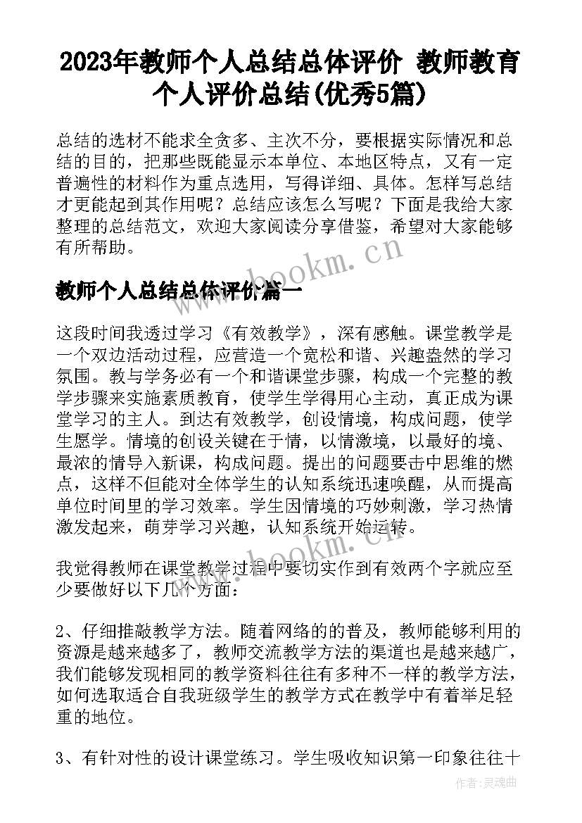 2023年教师个人总结总体评价 教师教育个人评价总结(优秀5篇)