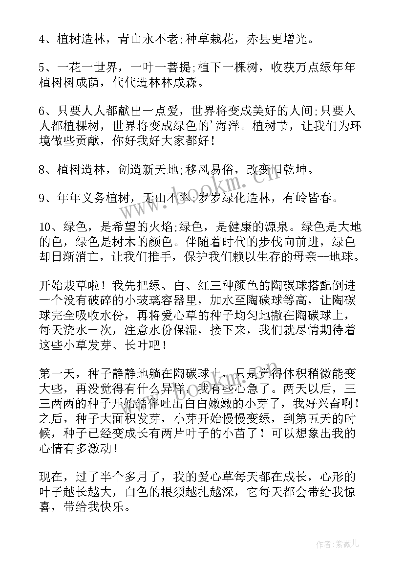 2023年植树节手抄报文字内容(大全5篇)