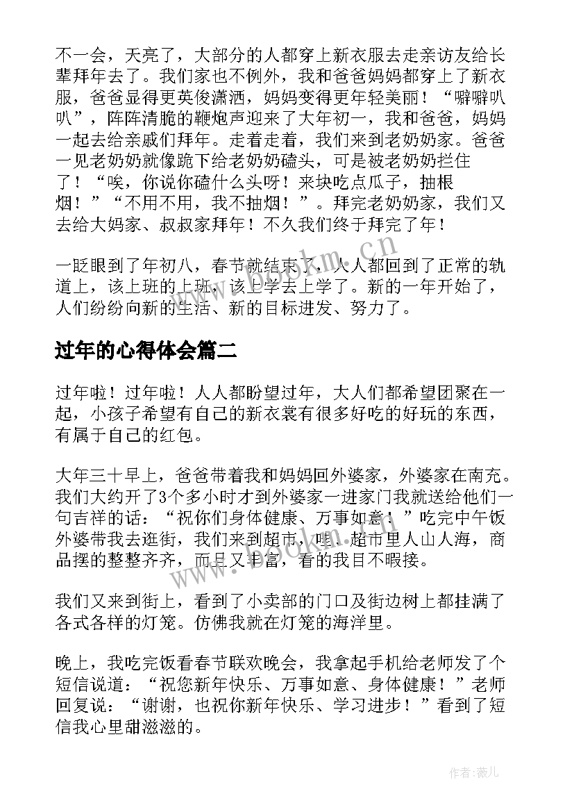 2023年过年的心得体会(精选5篇)