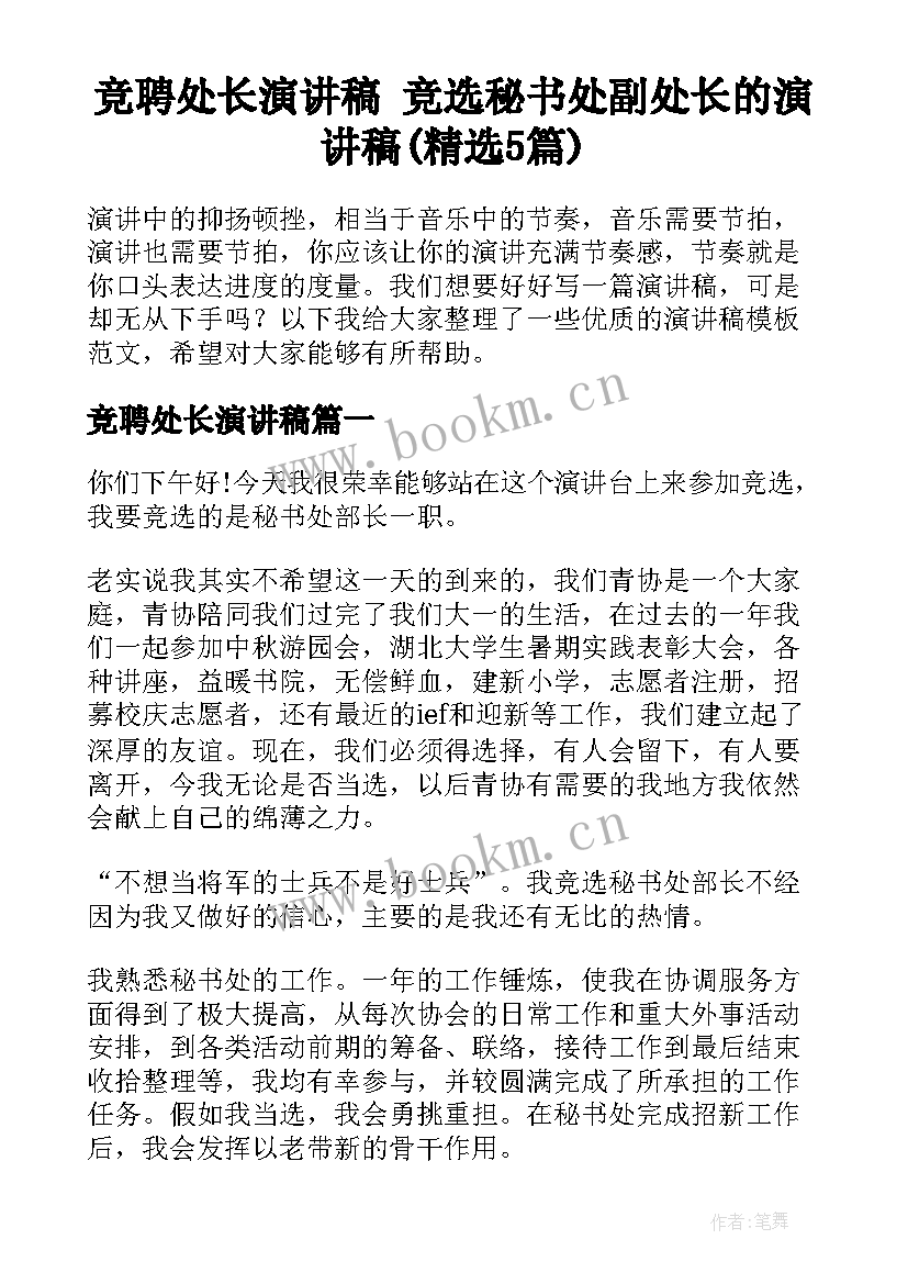 竞聘处长演讲稿 竞选秘书处副处长的演讲稿(精选5篇)