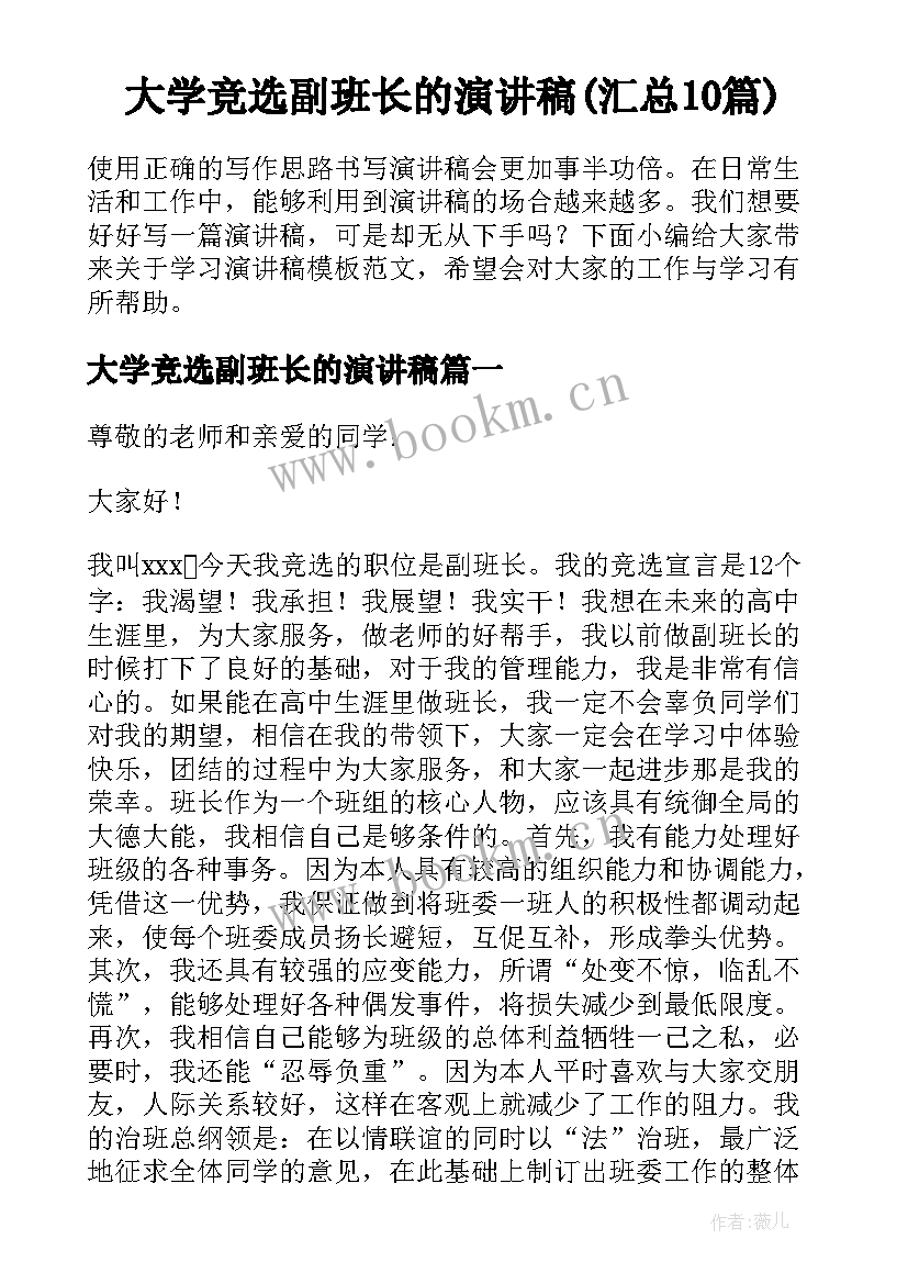 大学竞选副班长的演讲稿(汇总10篇)