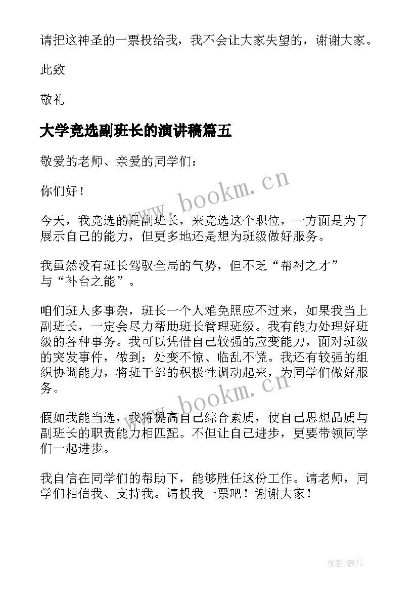 大学竞选副班长的演讲稿(汇总10篇)