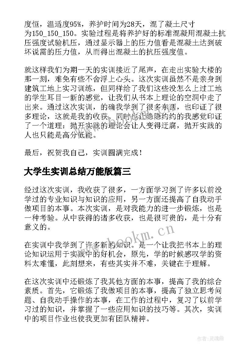 最新大学生实训总结万能版(精选5篇)