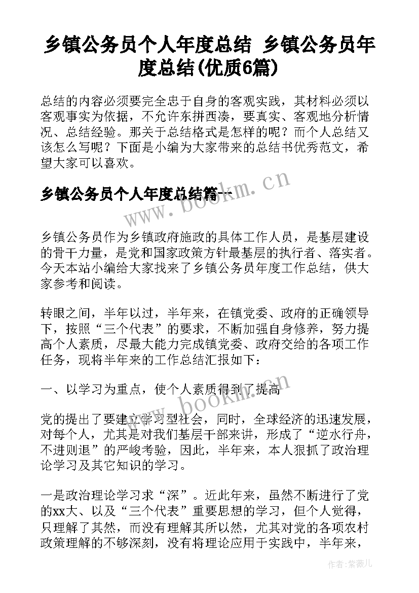 乡镇公务员个人年度总结 乡镇公务员年度总结(优质6篇)