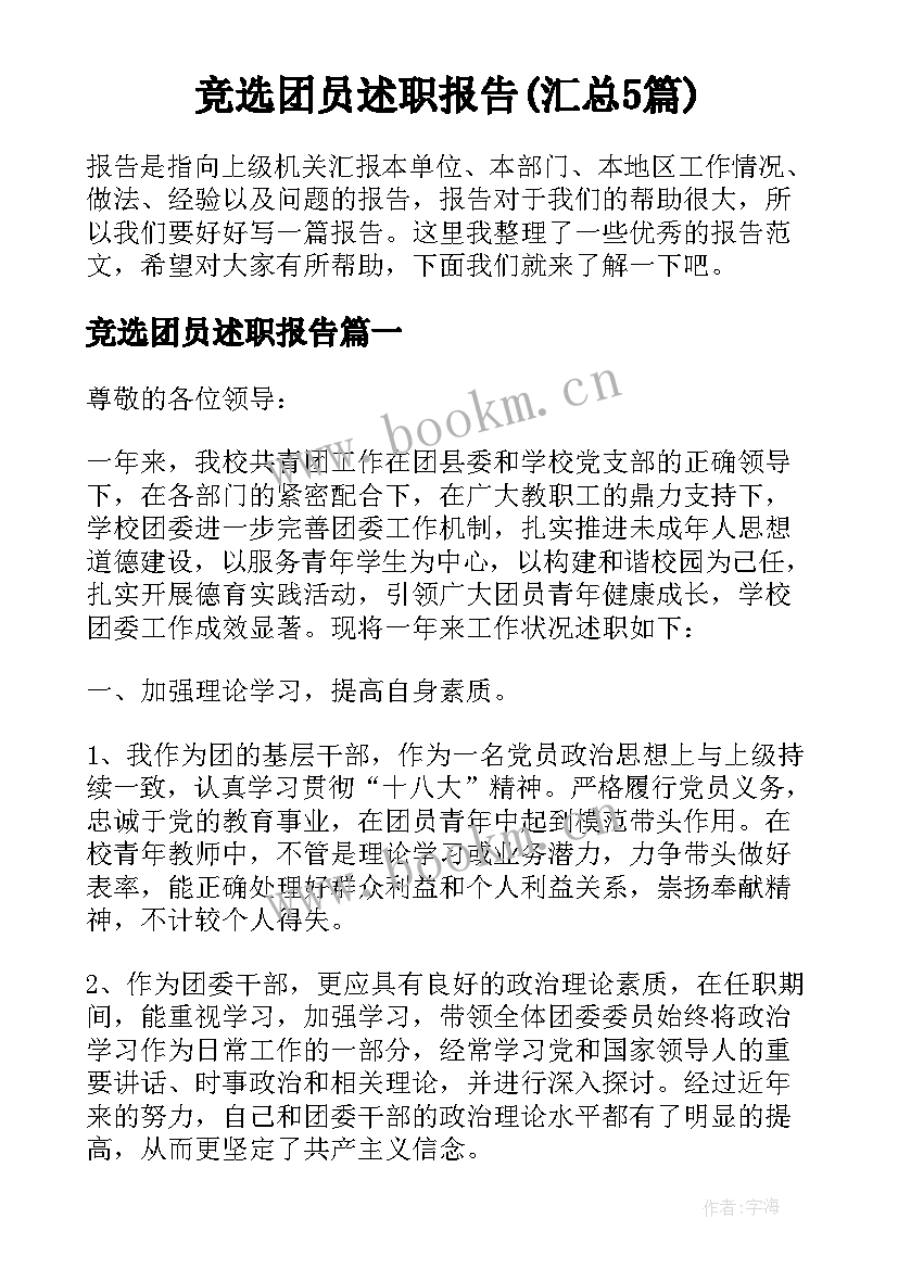 竞选团员述职报告(汇总5篇)