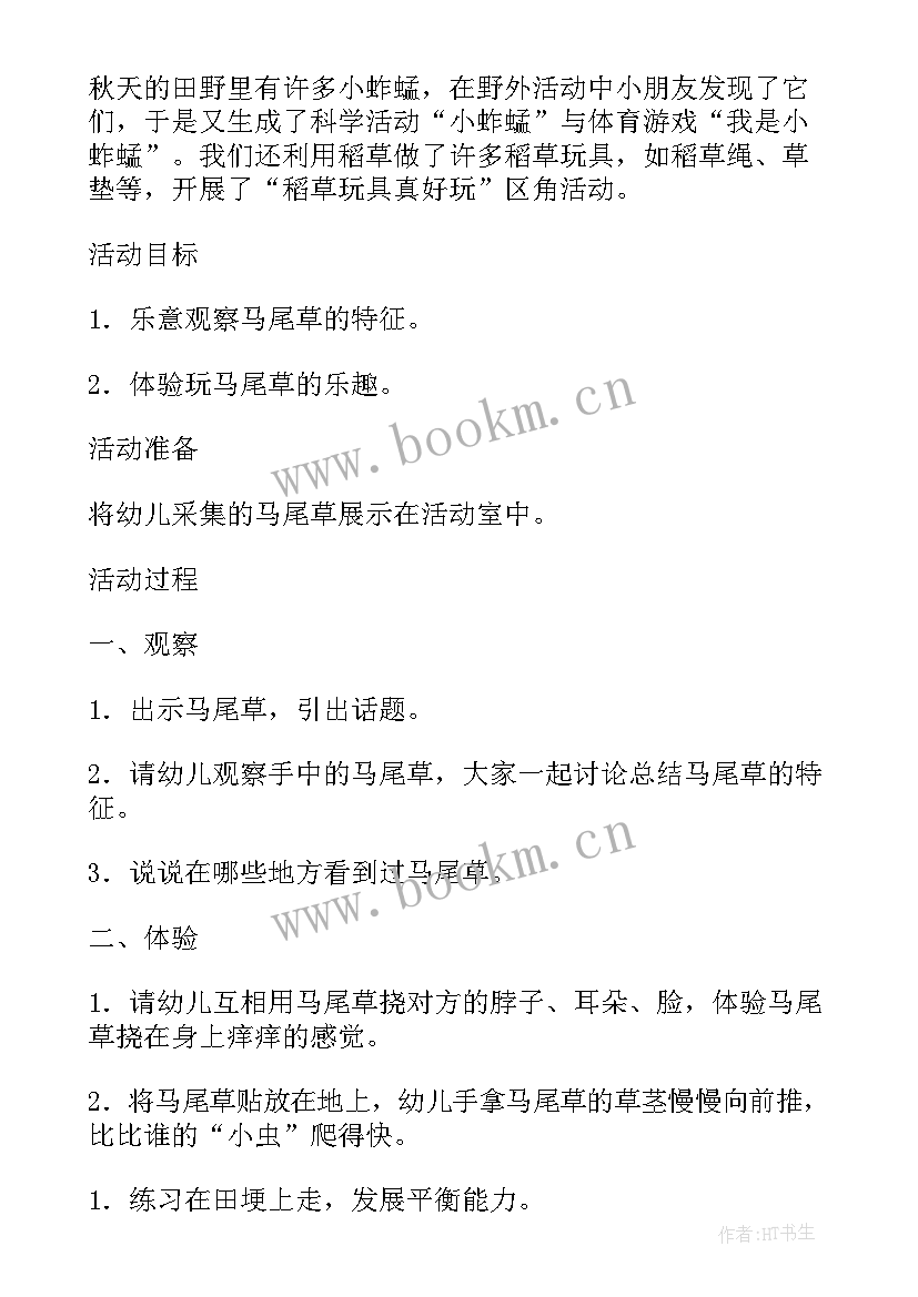 2023年秋天幼儿园活动方案设计 幼儿园秋天的活动方案(汇总6篇)