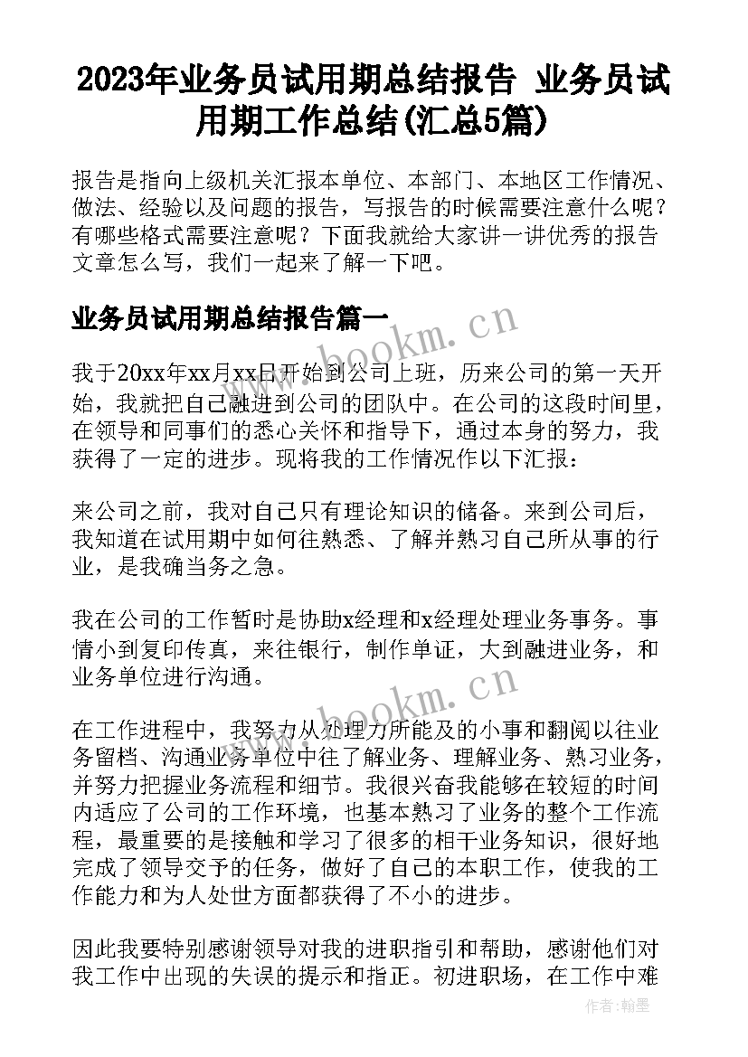 2023年业务员试用期总结报告 业务员试用期工作总结(汇总5篇)