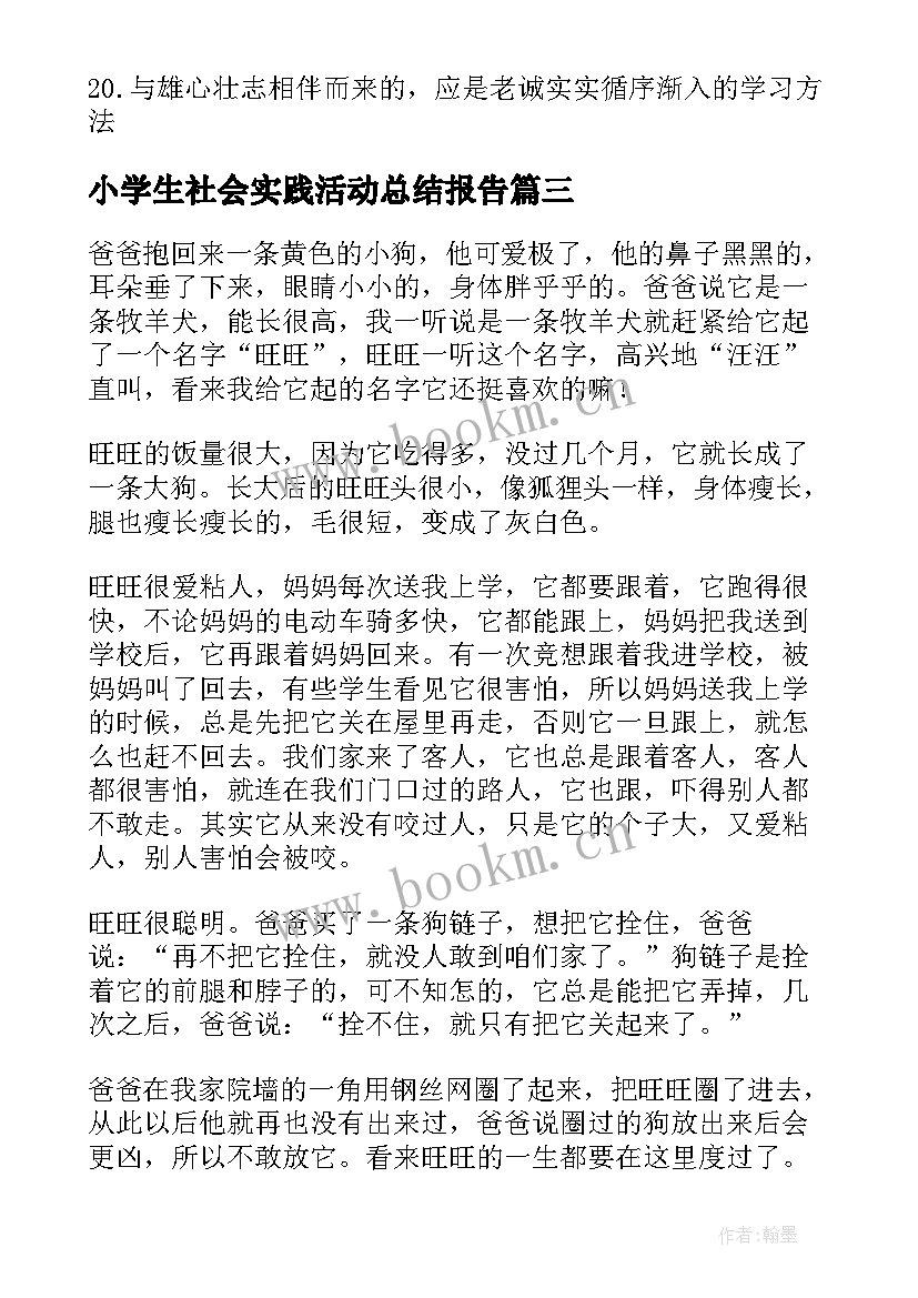 2023年小学生社会实践活动总结报告 G小学生心得体会(汇总8篇)