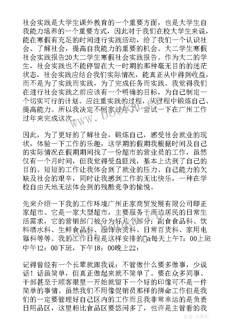 2023年大二寒假社会工作实践报告总结(大全7篇)