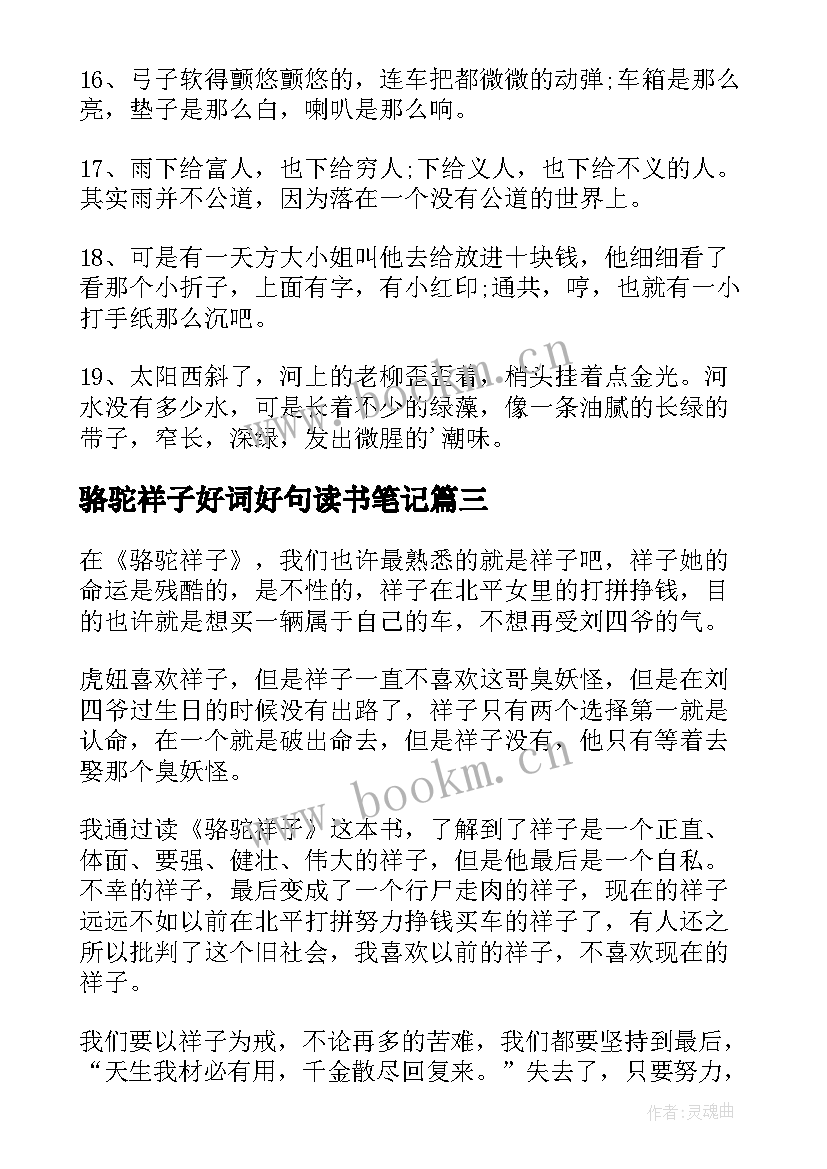 最新骆驼祥子好词好句读书笔记 骆驼祥子好词好句摘抄及读书笔记(优秀5篇)