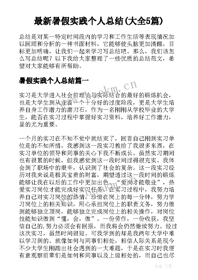 最新暑假实践个人总结(大全5篇)