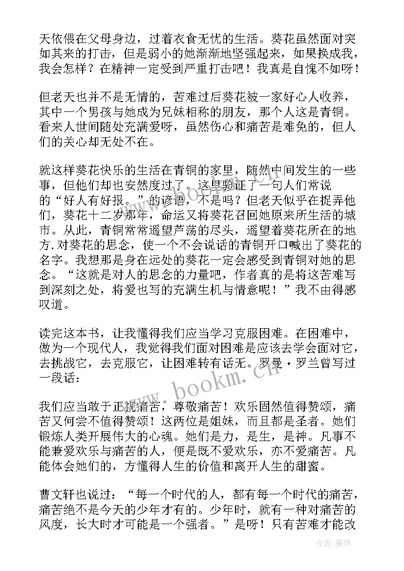 2023年青铜葵花读后感 初中青铜葵花读后感(优质5篇)