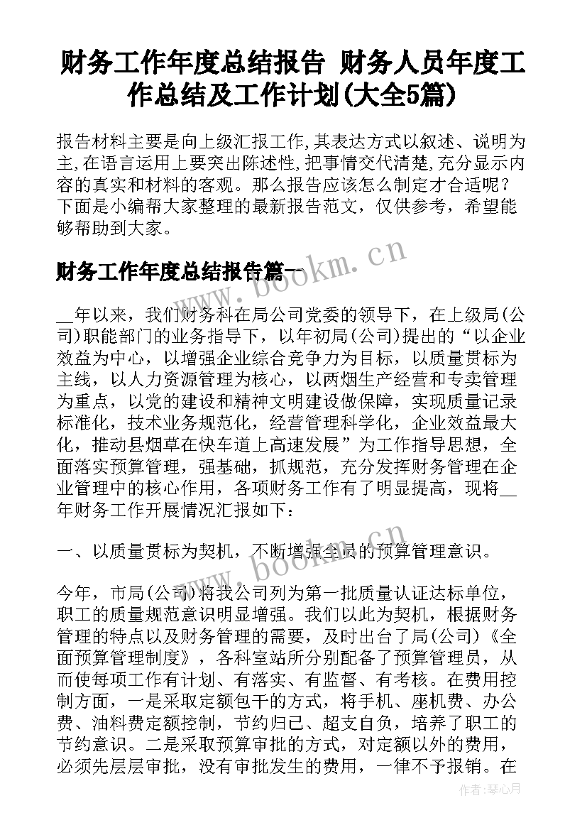 财务工作年度总结报告 财务人员年度工作总结及工作计划(大全5篇)