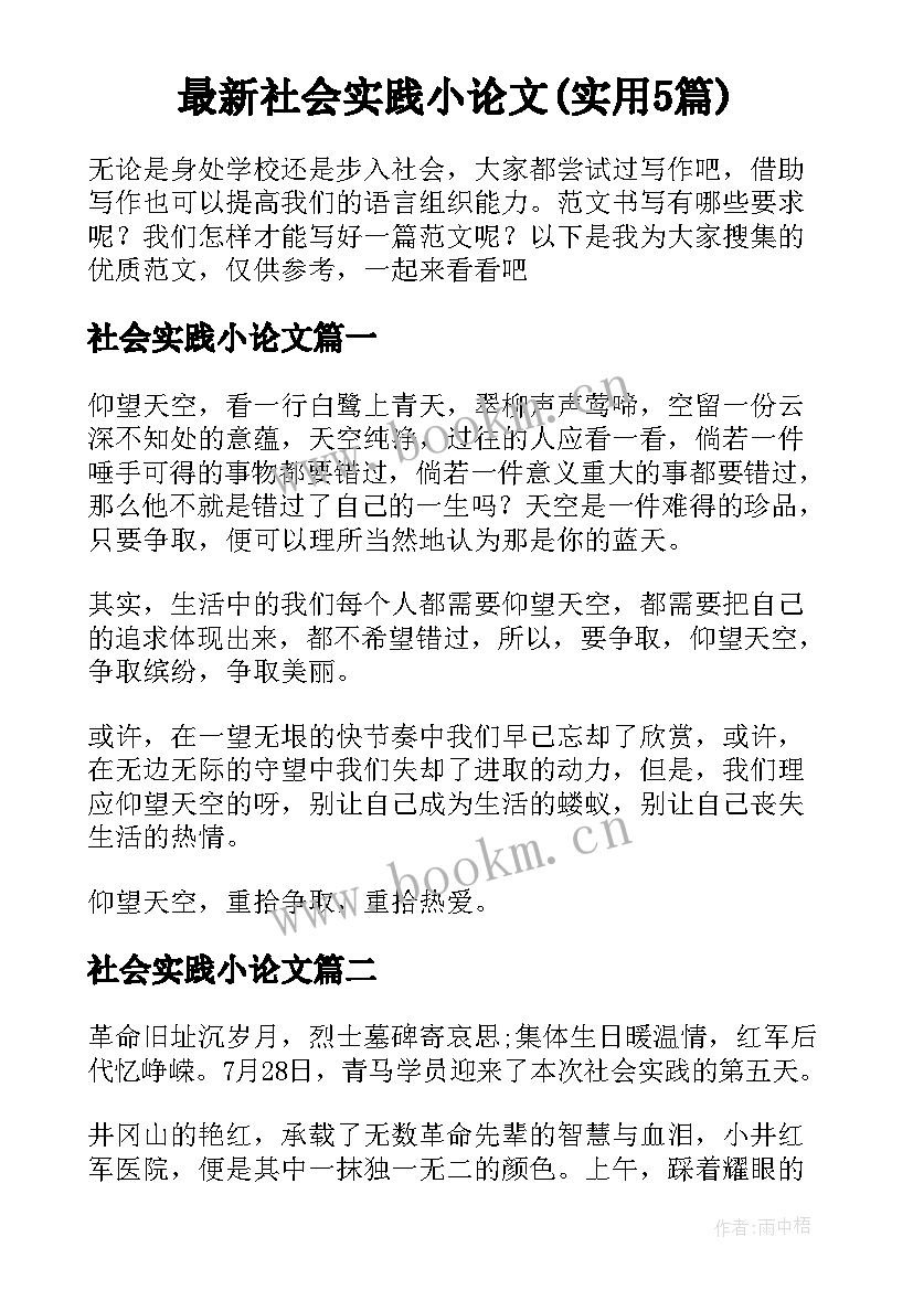 最新社会实践小论文(实用5篇)