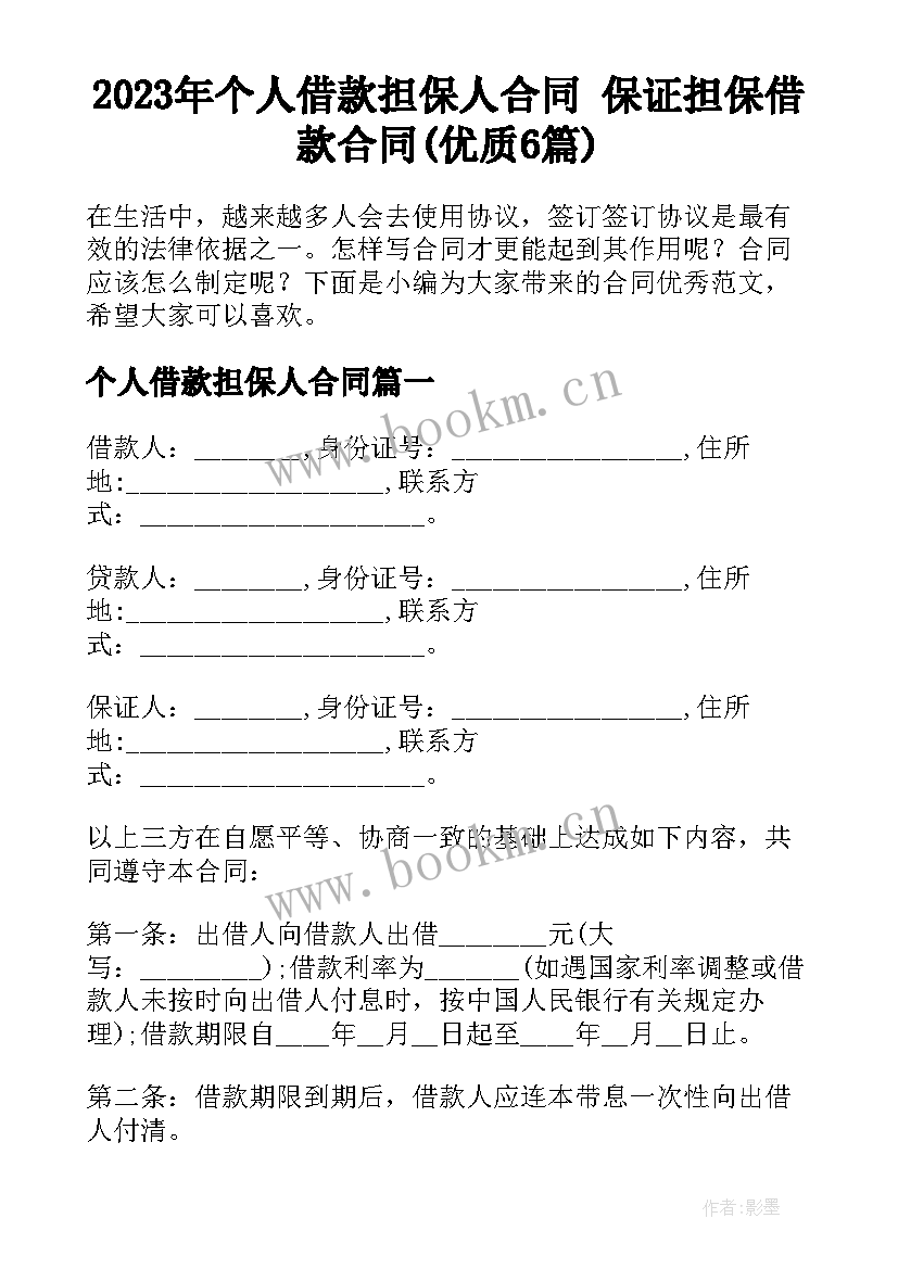 2023年个人借款担保人合同 保证担保借款合同(优质6篇)